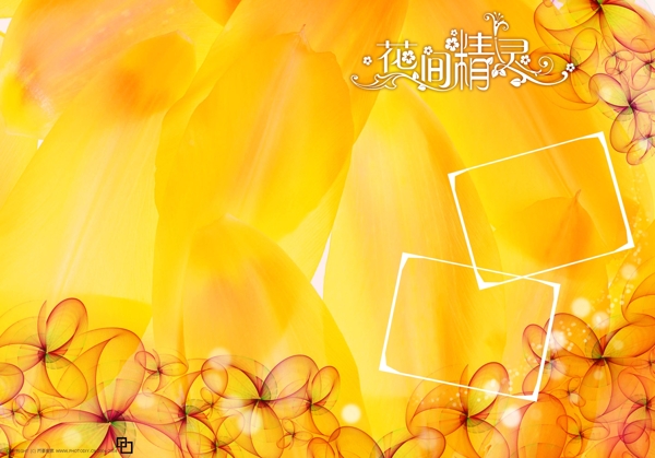 婚紗模版