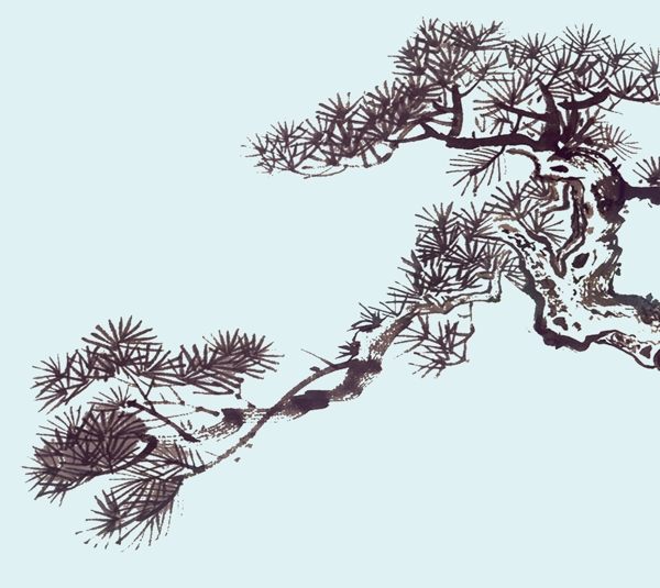 松樹