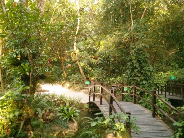 小橋