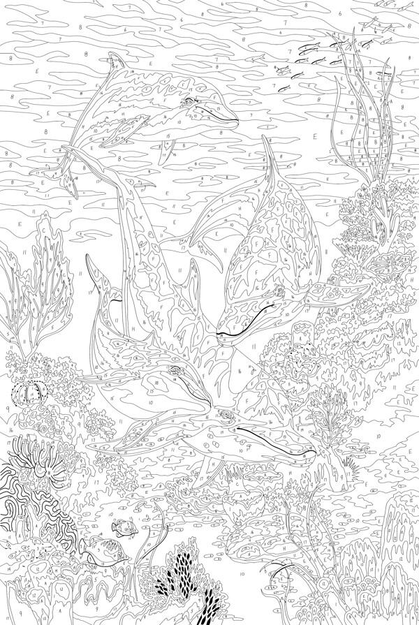 海圖片