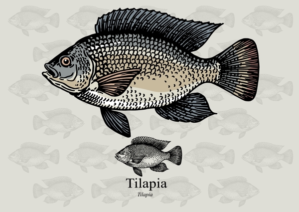 手繪魚圖案元素素材