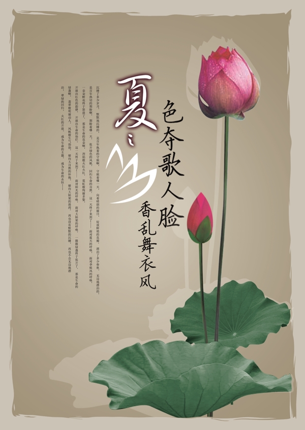 荷花