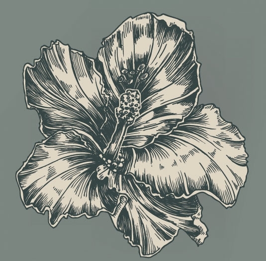 复古素描花朵矢量素材图片