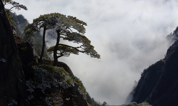 黃山圖片