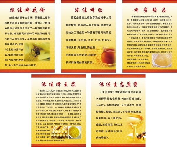 蜂蜜介紹圖片