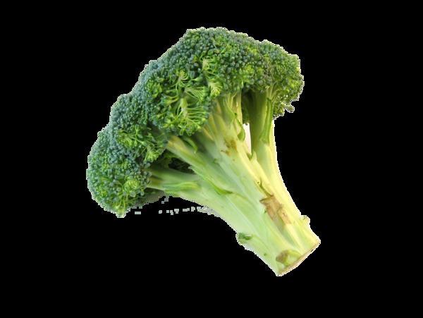 高清花椰菜png圖片素材下載