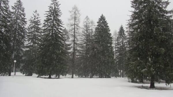 雪中的斯洛文尼亚