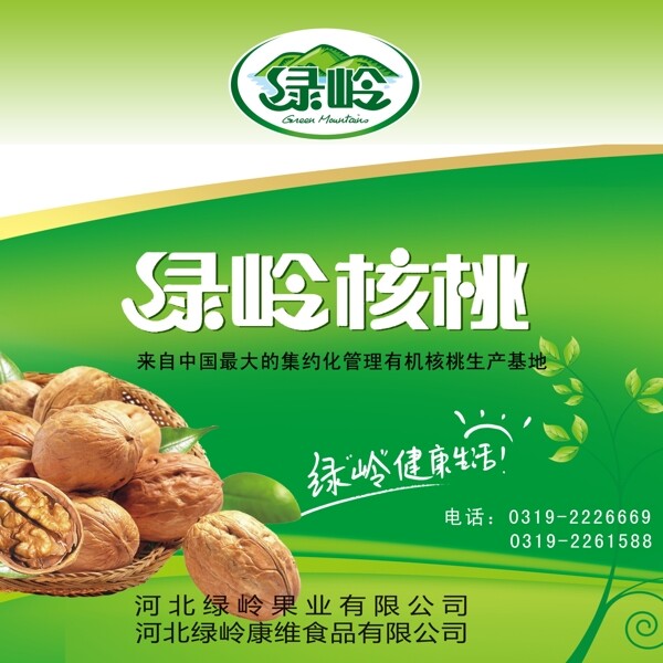 綠嶺核桃包裝