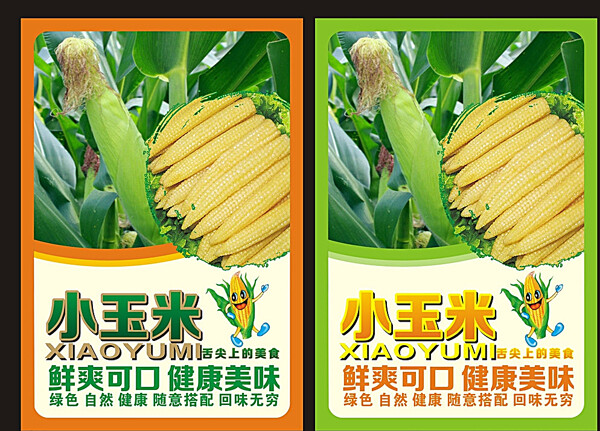 小玉米海报图片