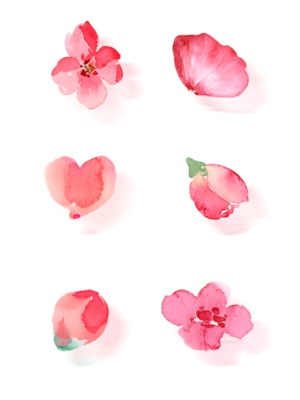 水彩手绘花花瓣元素套图
