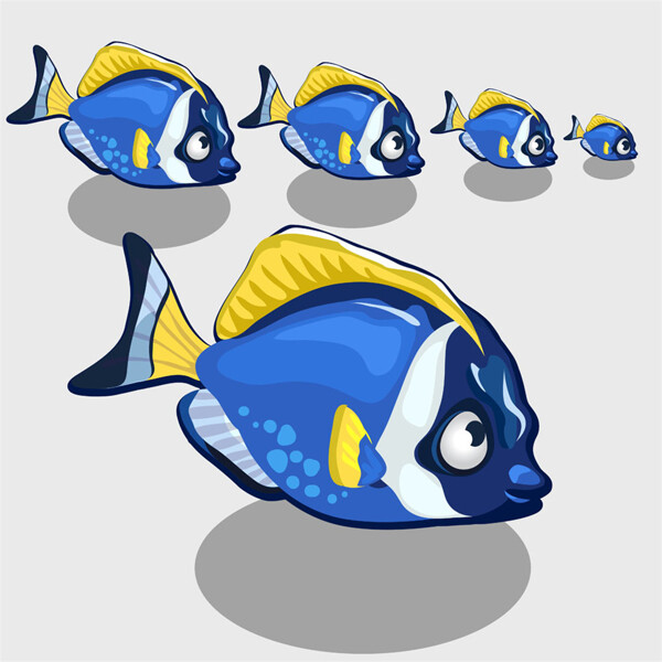 藍色花紋魚圖片