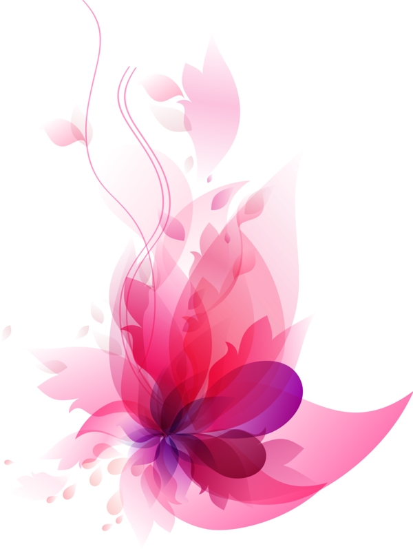 花紋