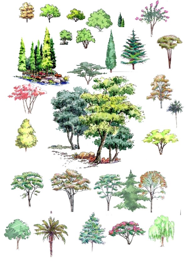 手绘树木素材图片