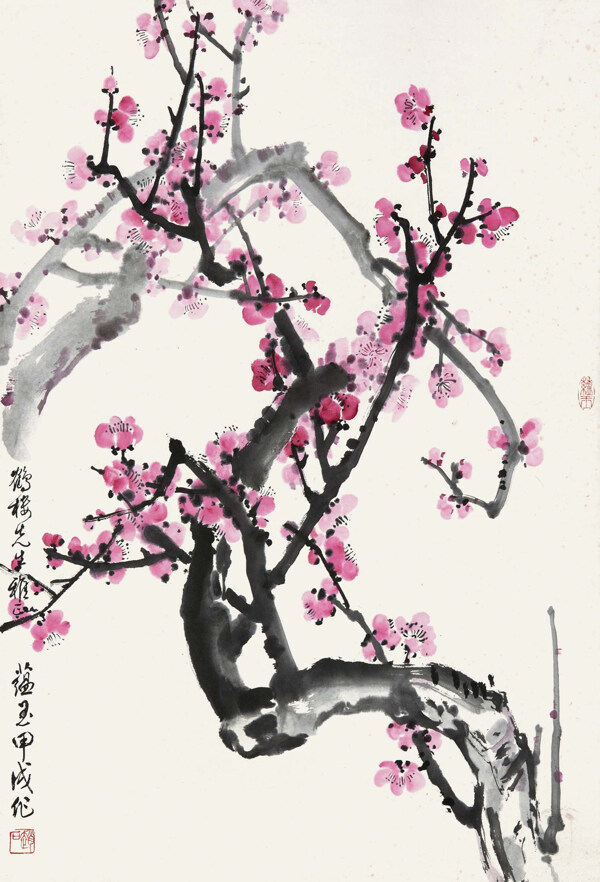 紅梅圖片