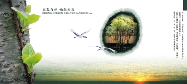 水墨地產(chǎn)