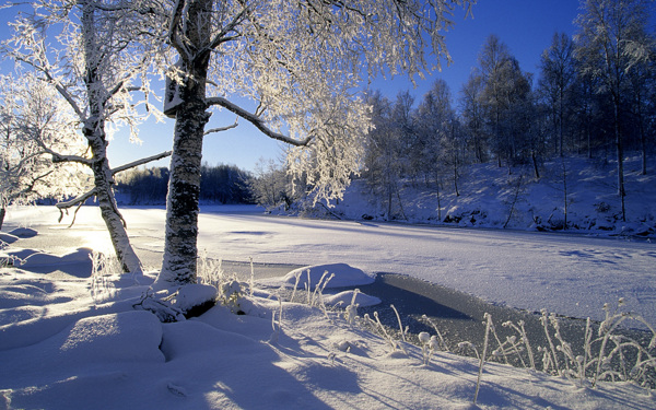 风景雪景图片