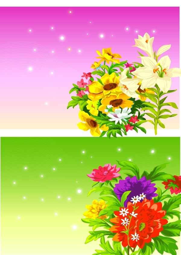 情人節(jié)鮮花圖片