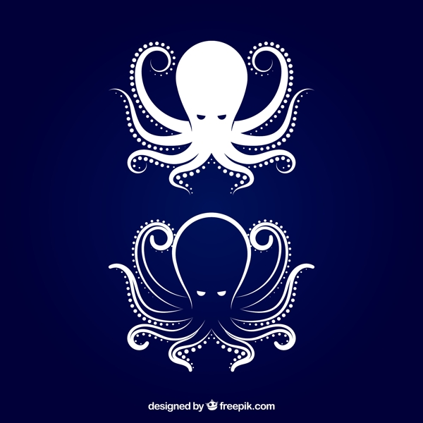 海洋动物章鱼八爪鱼图片
