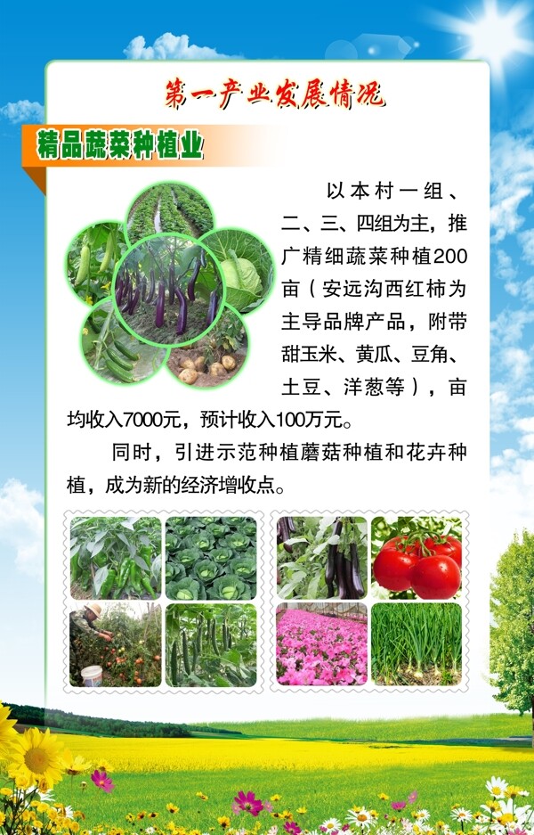 农副产品精品蔬菜种植