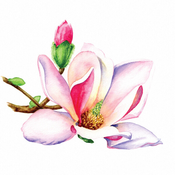 位圖時(shí)尚休閑女裝成熟優(yōu)雅女裝植物優(yōu)雅植物免費(fèi)素材