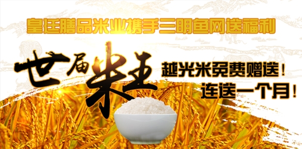大米微信宣傳