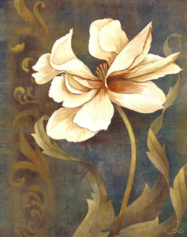 白色植物花朵油画图片