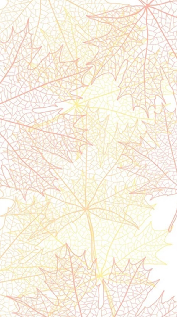 秋天枫叶背景图片