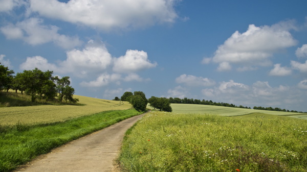 绿色田园风景图片