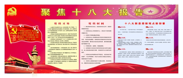 聚焦報告