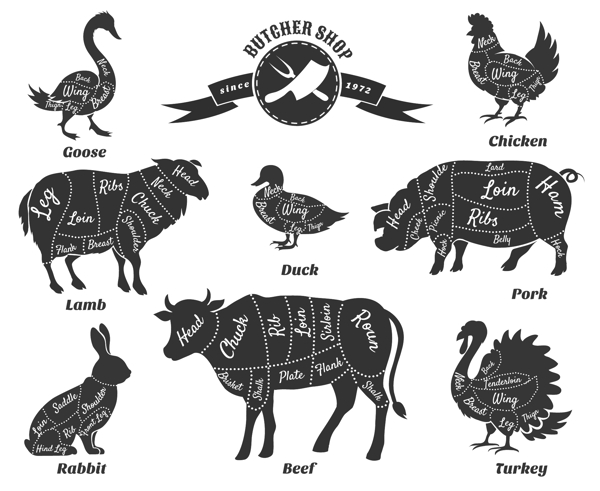 动物肉块注释图片