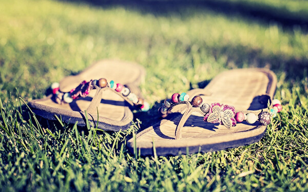 夏天的凉拖鞋