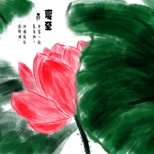 夏至荷花荷叶红花绿叶中国风国画二十四节气