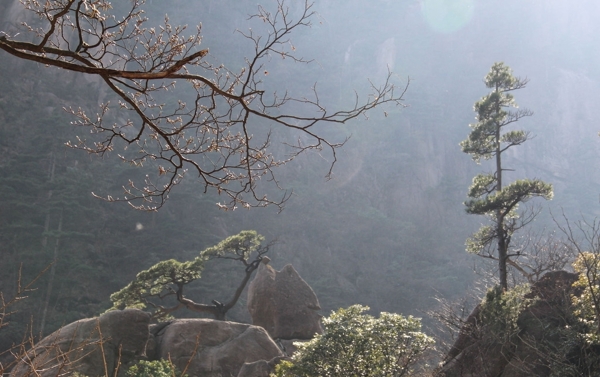 黃山圖片
