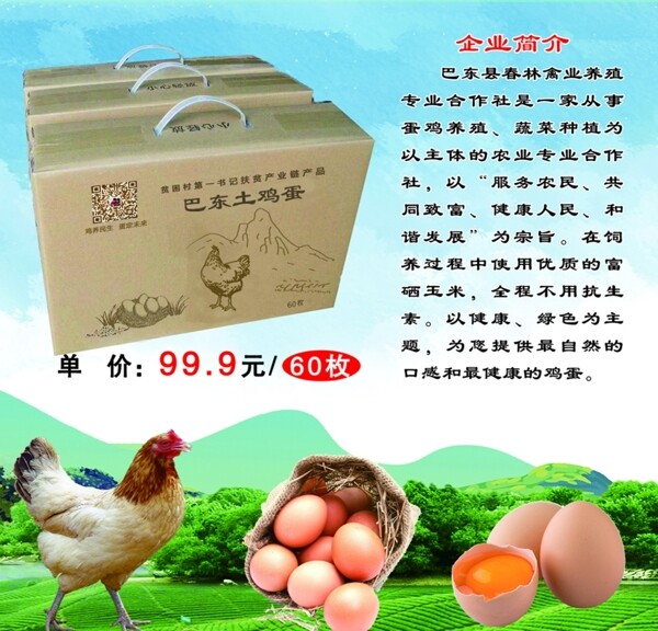 雞蛋宣傳海報(bào)