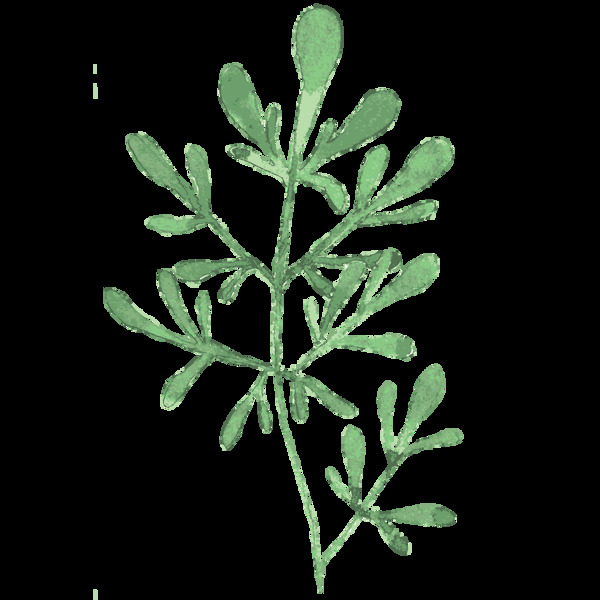 綠色水墨植物透明素材