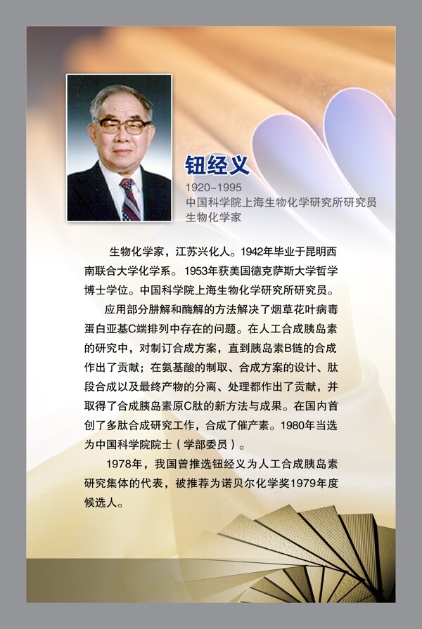 名人展板圖片