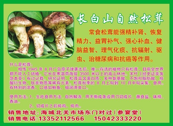 松茸說明圖片