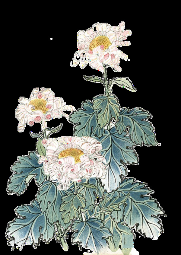 水墨风格手绘菊花装饰元素