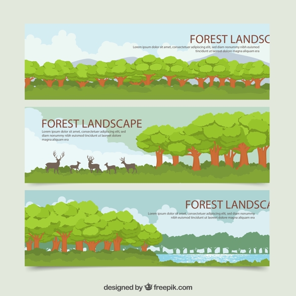 森林树木风景图片