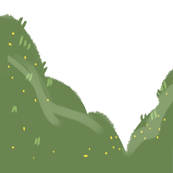 绿色葱郁的草地风景