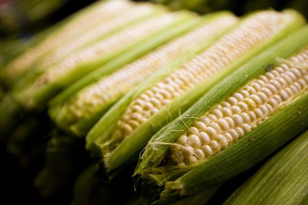 排放整齐的玉米棒图片