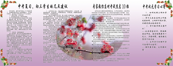 中考復(fù)習(xí)