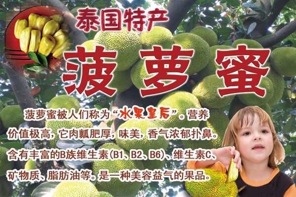 菠蘿蜜圖片