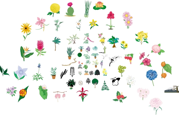 植物矢量图图片