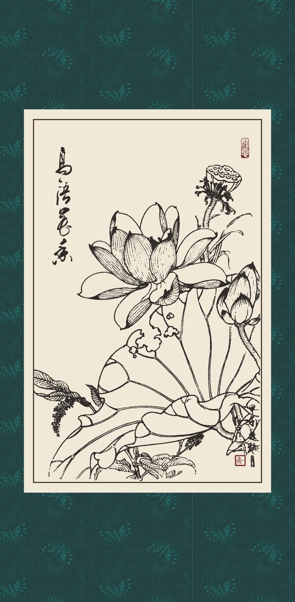 白描荷花圖片