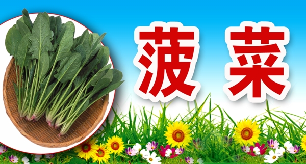 菠菜