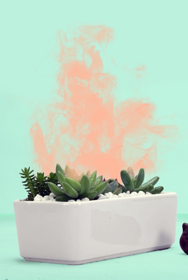 小清新綠植煙霧創(chuàng)意背景圖