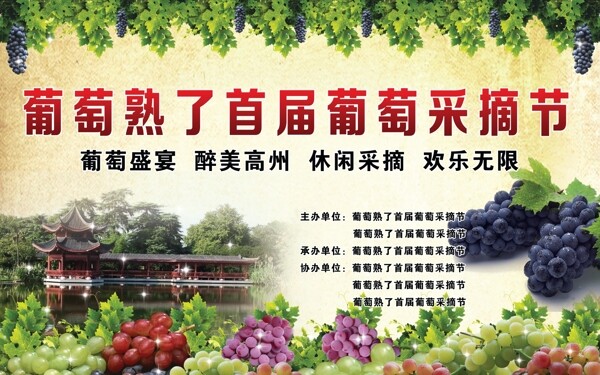 葡萄節(jié)圖片