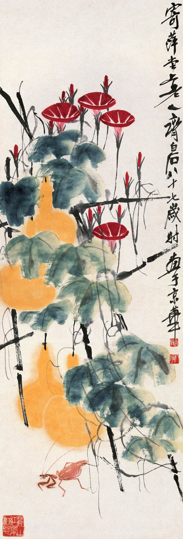 牽牛蚱蜢圖片