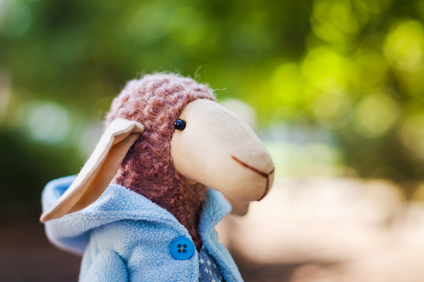 可爱的羊布娃娃图片